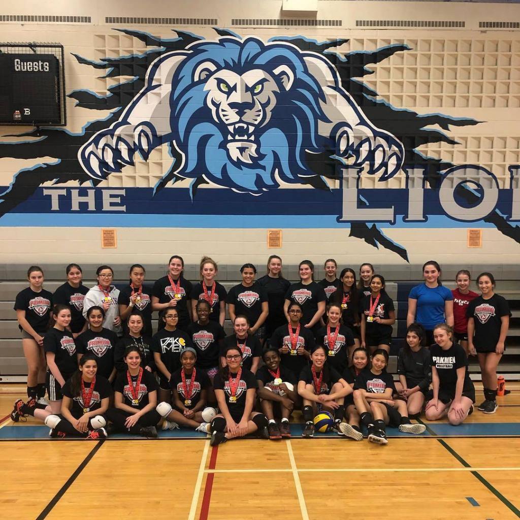 GTA Premier League Girls Volleyball League in Mississauga